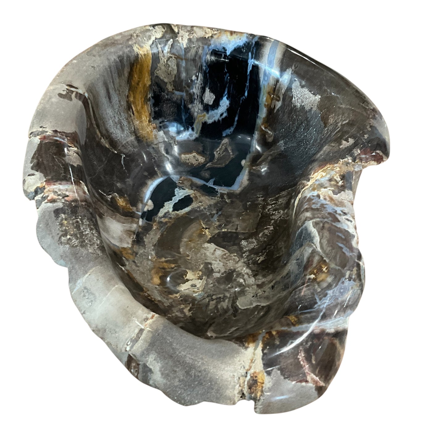 Petrified Wood Abstract Multi-Tone Bowl
