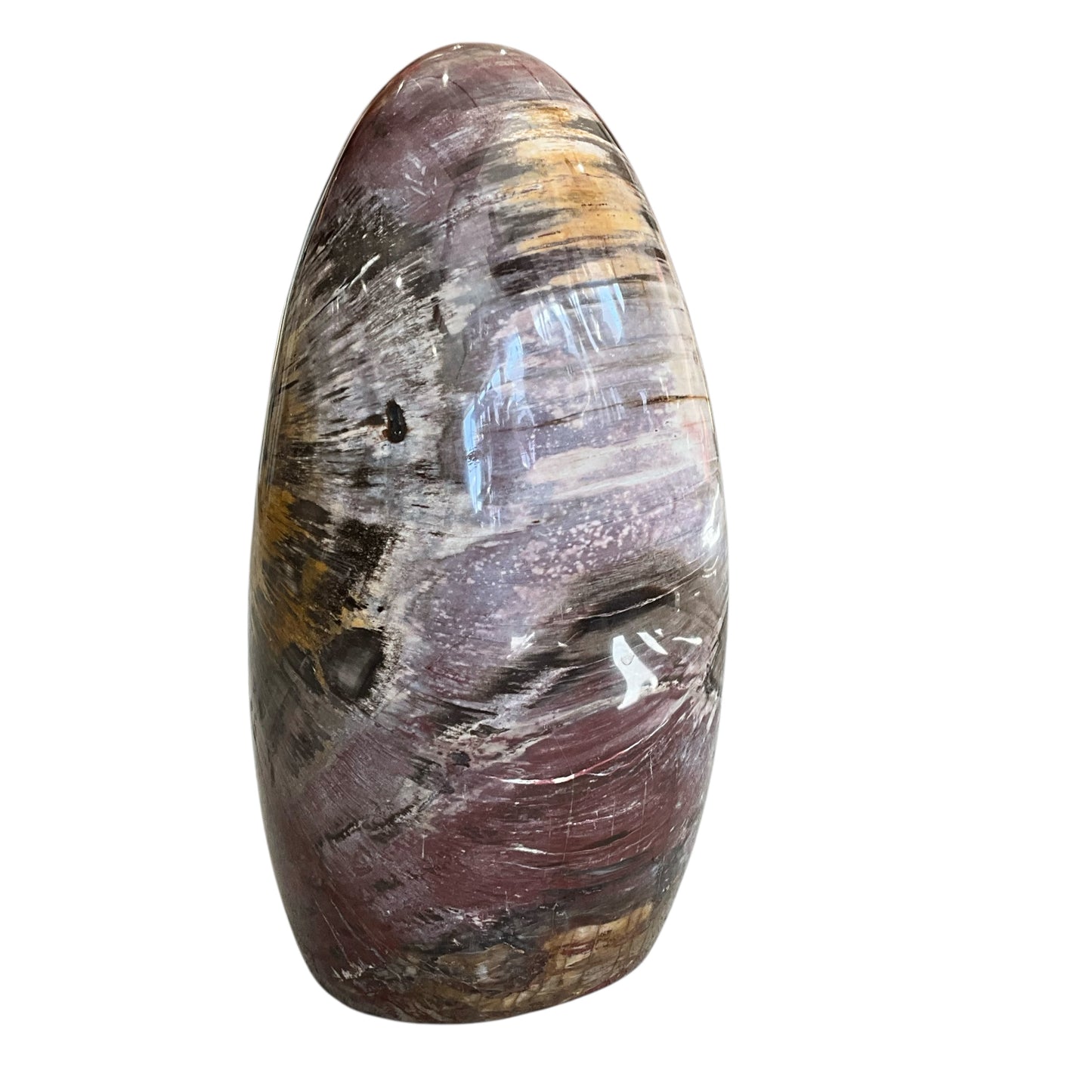 Madagascar Petrified Wood #3