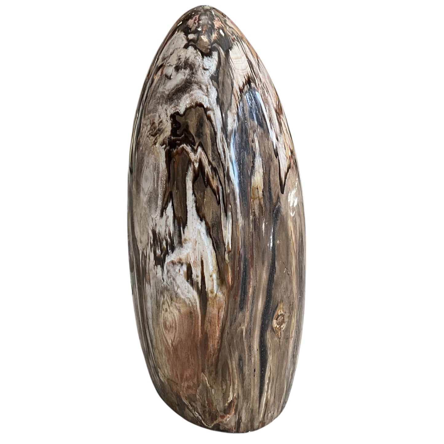 Madagascar Petrified Wood #2