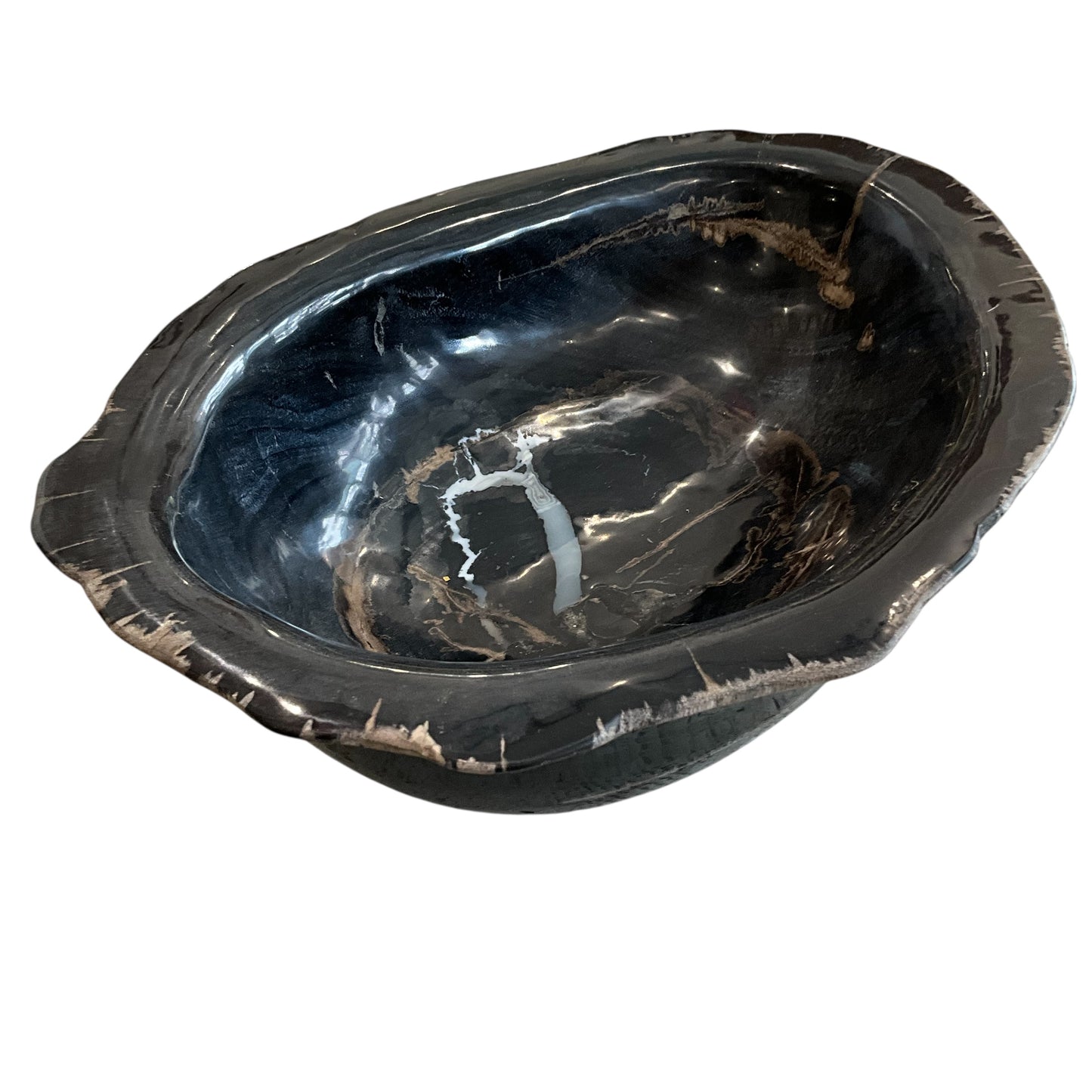 Petrified Wood Abstract Bowl w/ Colors
