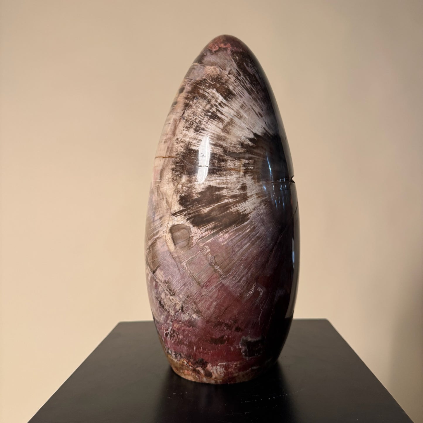 Madagascar Petrified Wood #3