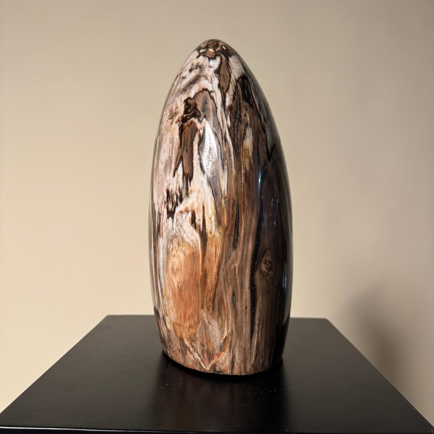 Madagascar Petrified Wood #2