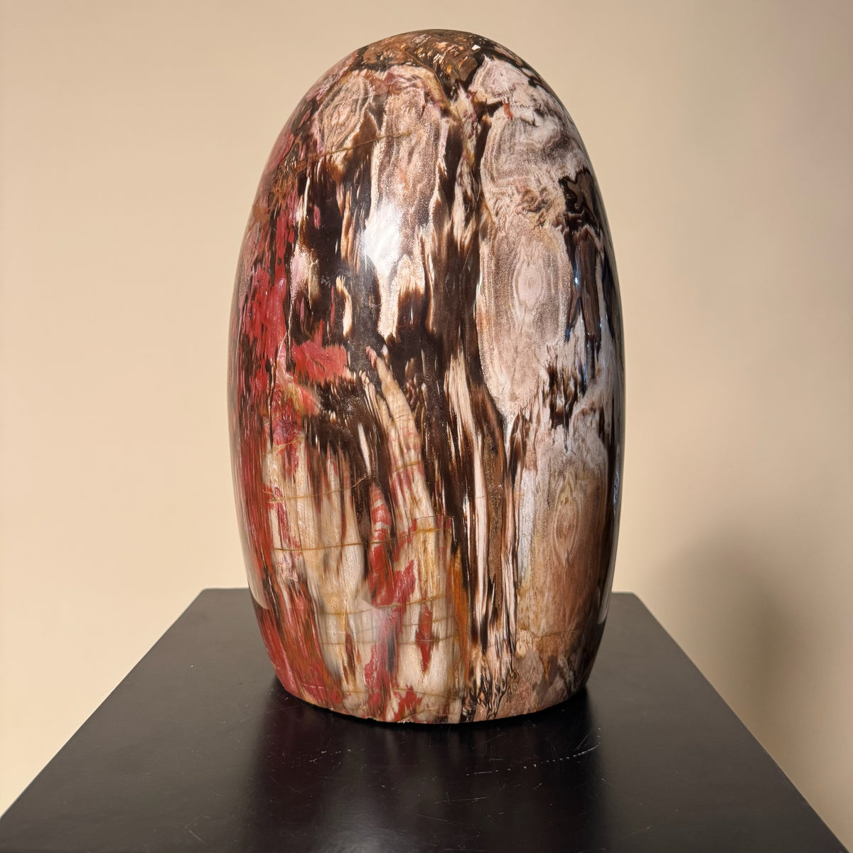 Madagascar Petrified Wood #2