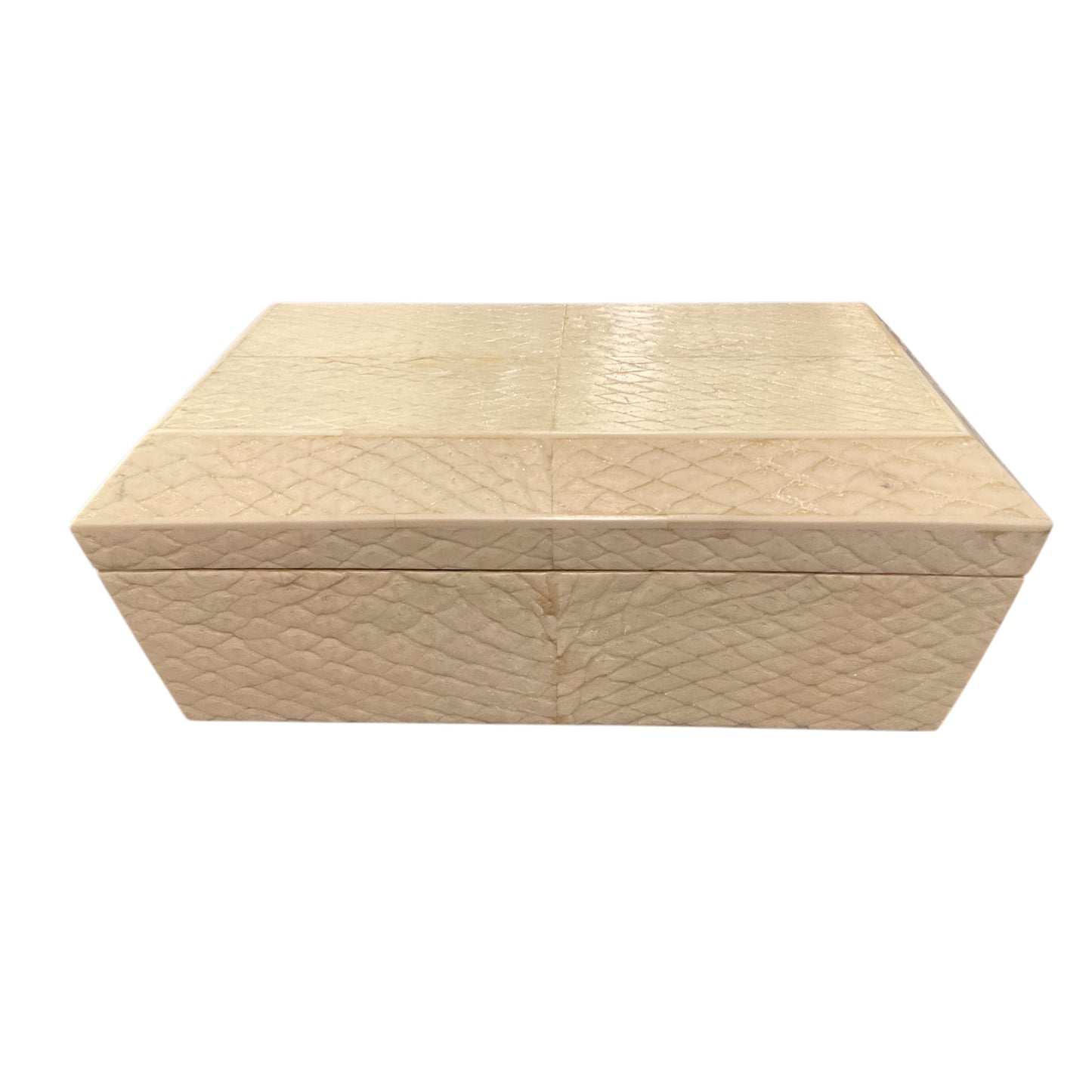 R&Y Augousti Paris Beige Faux Snakeskin Jewelry Box w/ Removable Tray