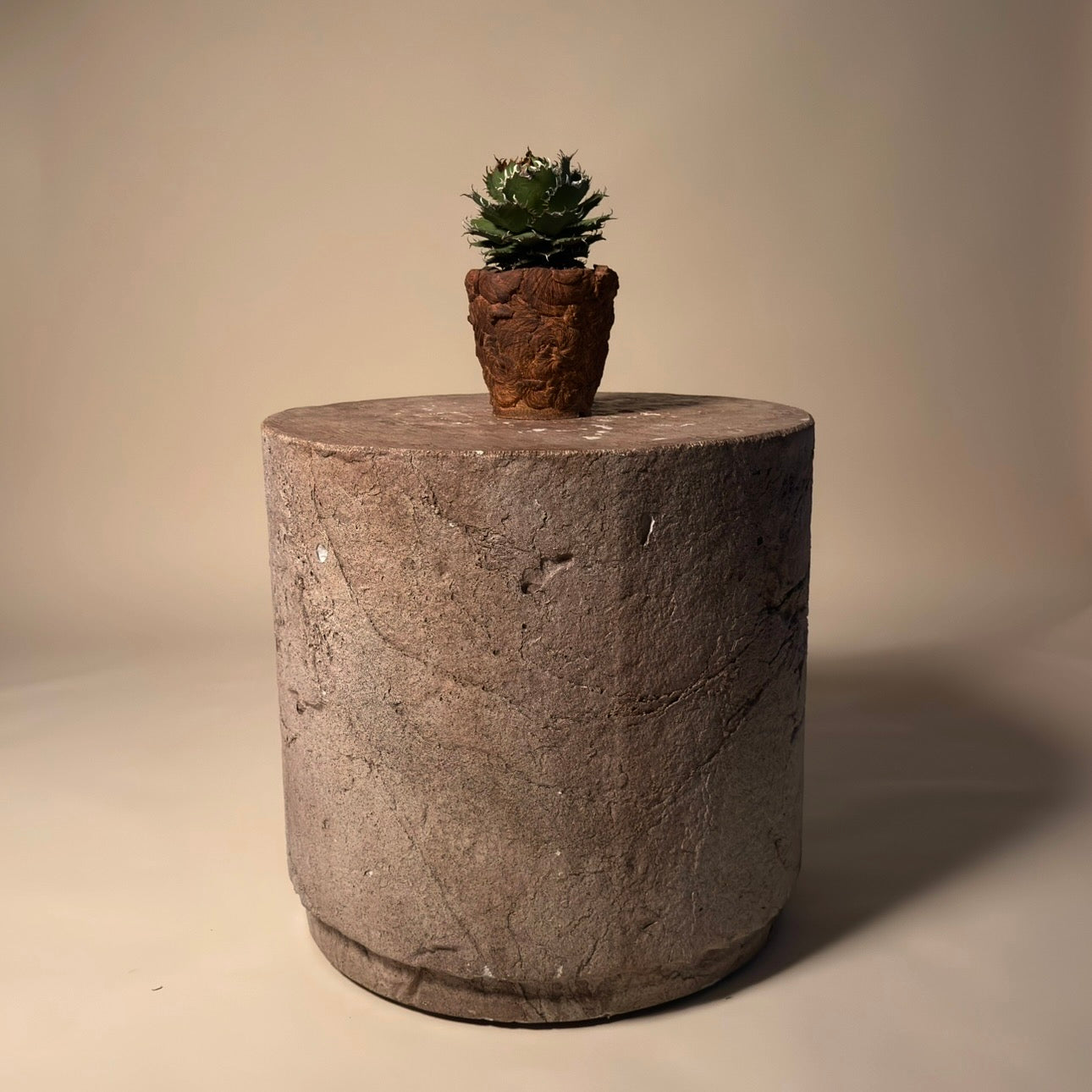 Agave Oteroi Cactus in Hand Crafted Ceramic Vessel