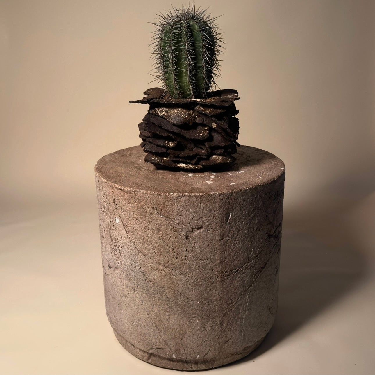 Saguaro (Carnegie's Gigantea) Cactus in Hand Crafted Ceramic Vessel