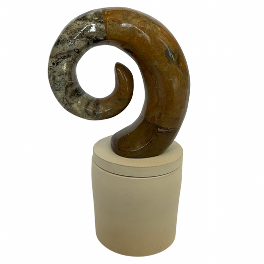 Orthoceras Fossil Lid Gardenia Candle