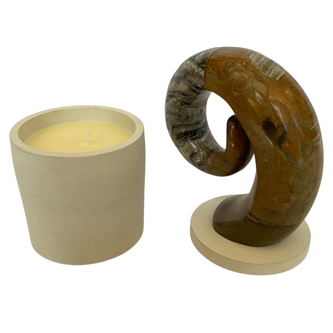 Orthoceras Fossil Lid Gardenia Candle