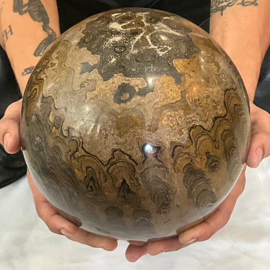 3.5 Billion Year Old Stromatolite Fossil Large Sphere