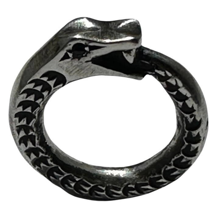 Silver Ouroboros Ring with Garnet Eyes