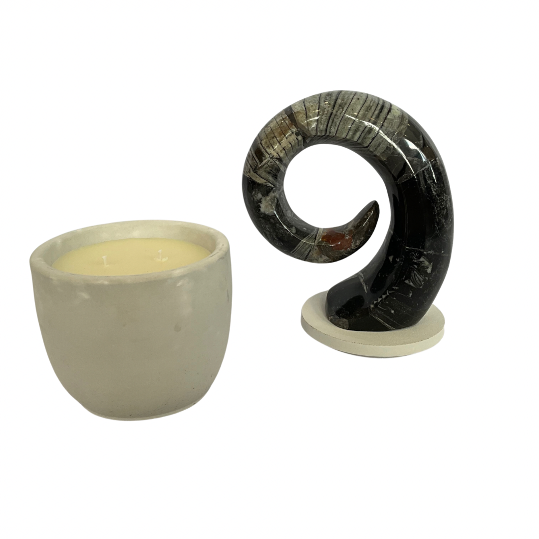 Orthoceras Fossil Lid Large Gardenia Candle