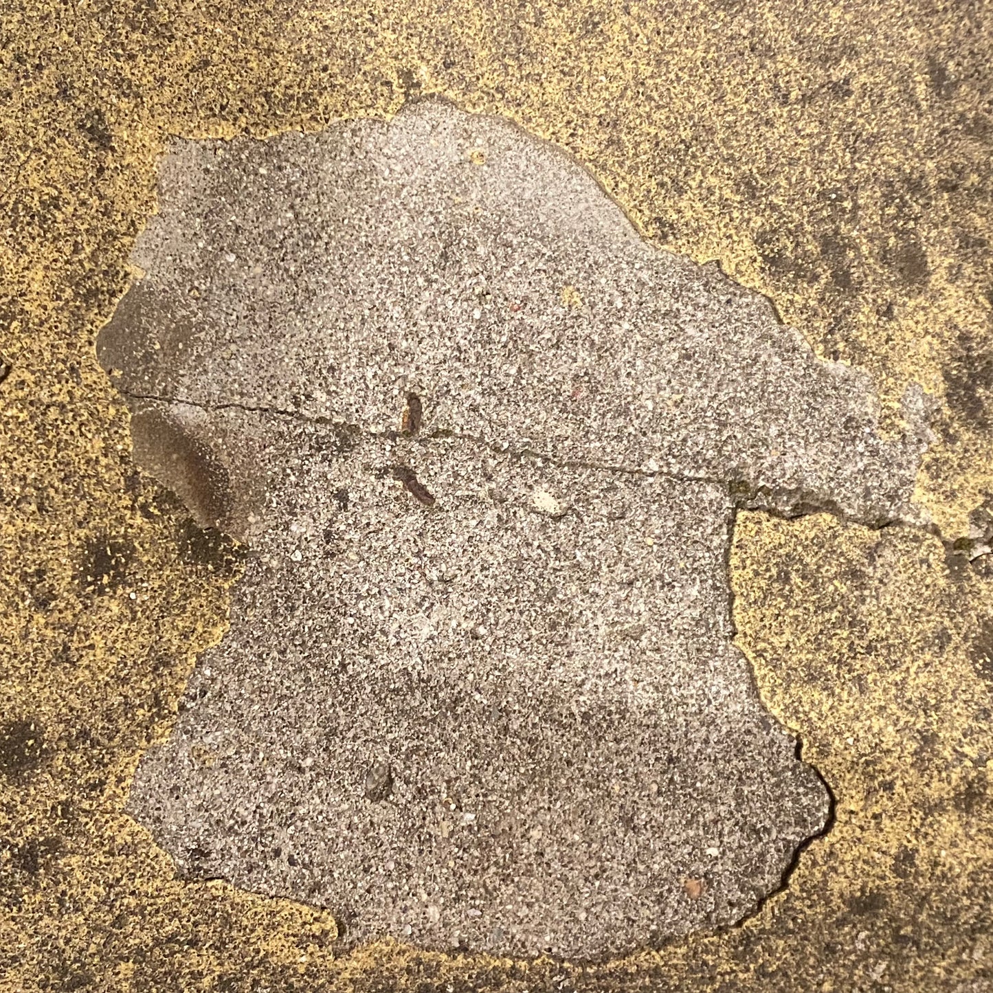 Faux Bois Garden Table & Chairs