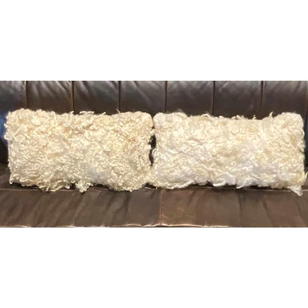 Pair of Rectangular Hand Felted Throw Pillows