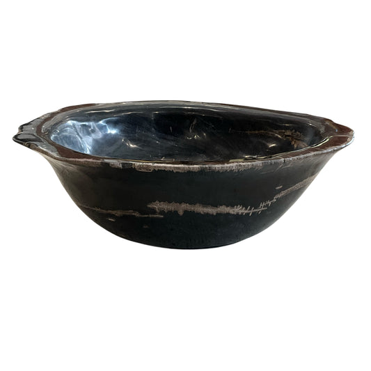 Petrified Wood Abstract Bowl w/ Colors