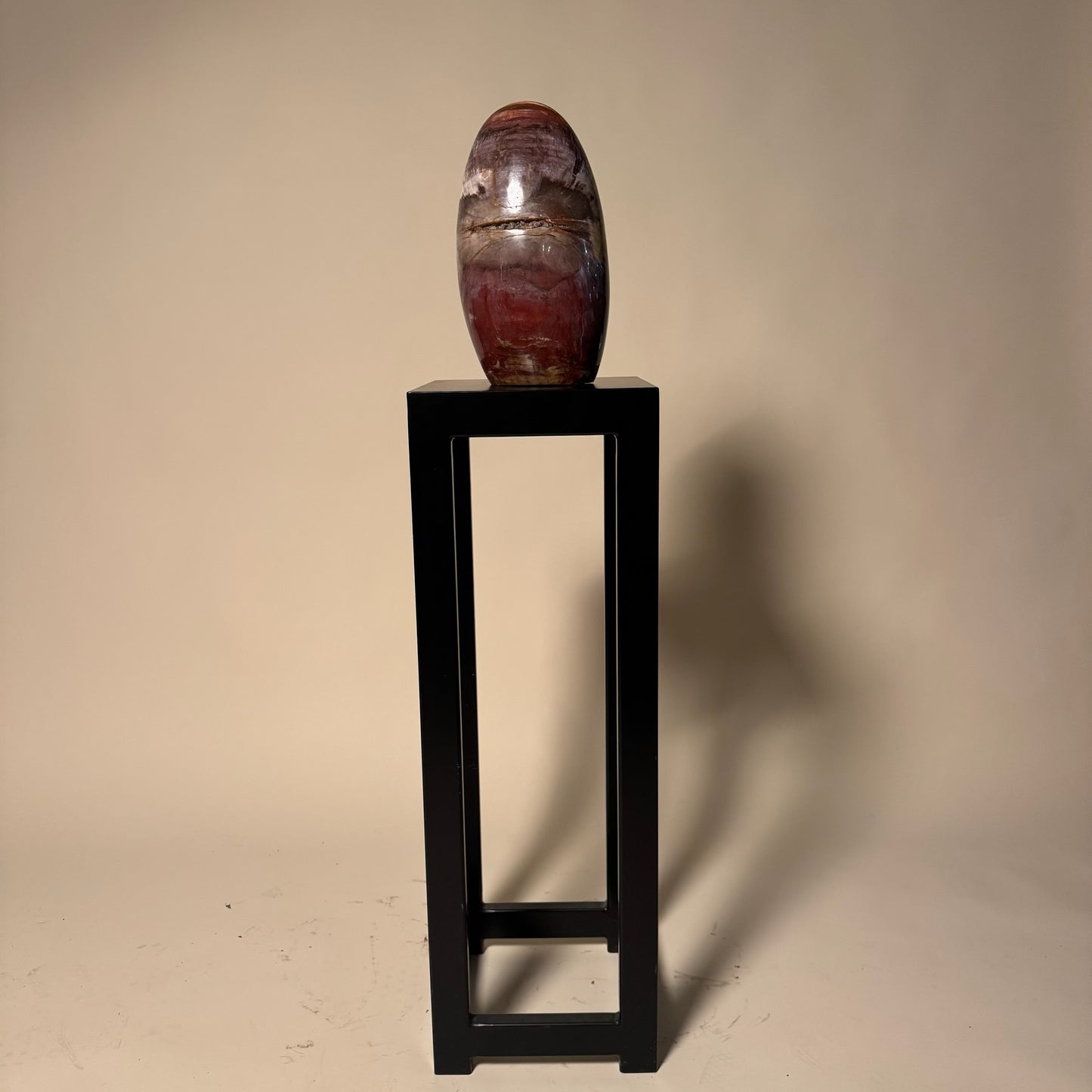 Madagascar Petrified Wood #3