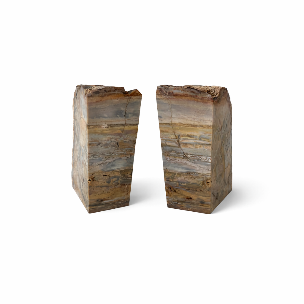 Hand Polished Petrified Wood Book Ends