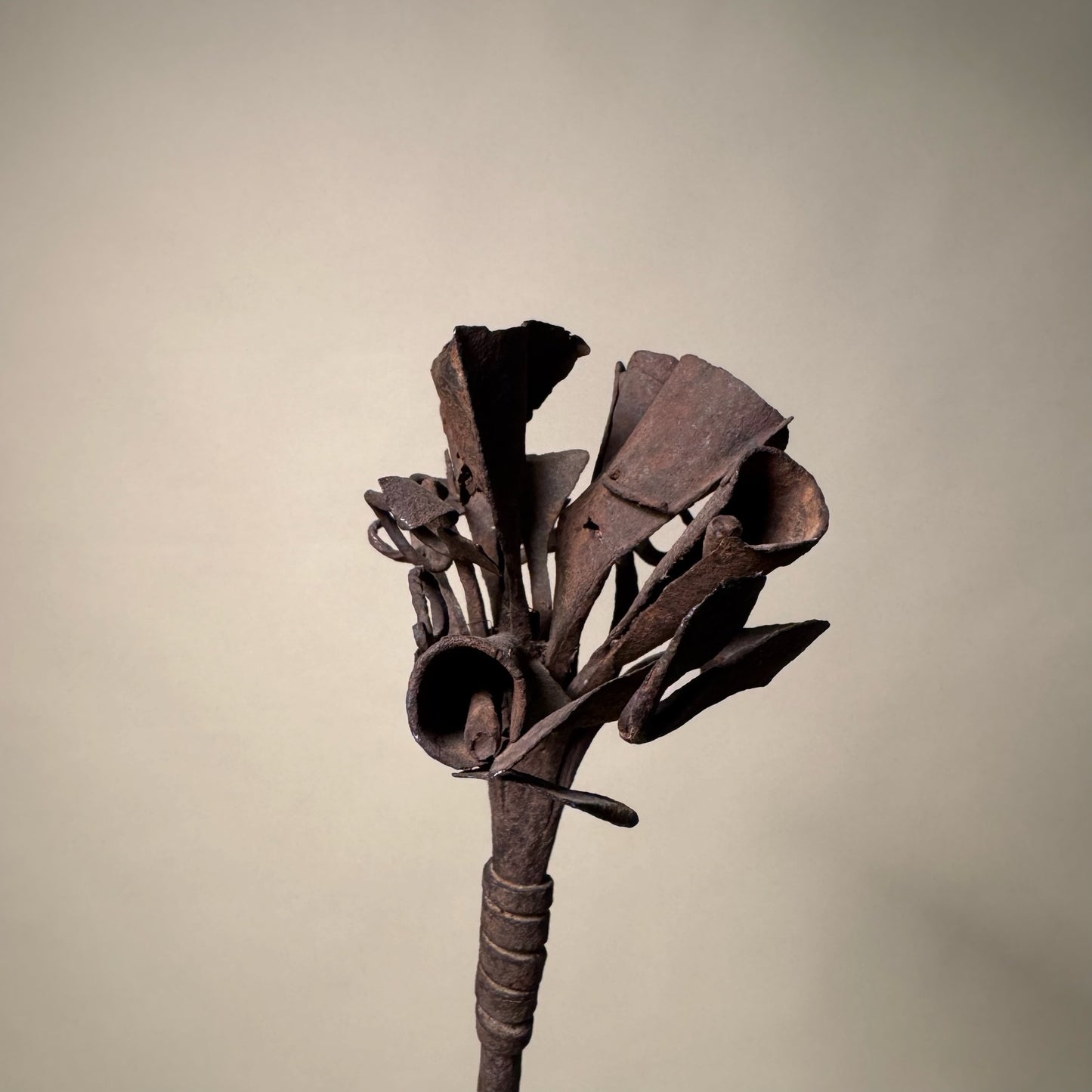 Yoruba Osanyin Healing Staff #5
