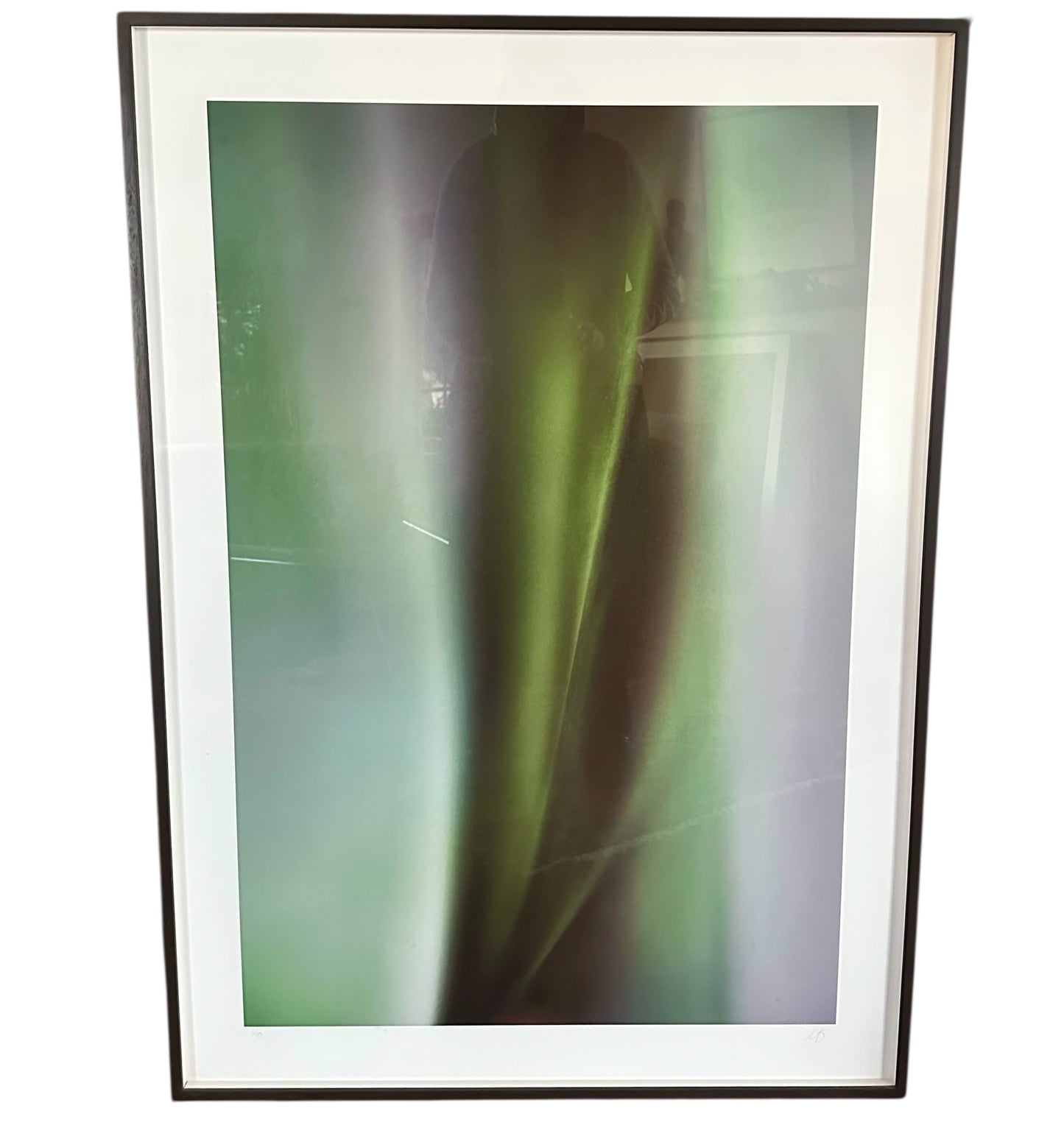 Mark Hanauer Botanical Photograph -Framed 1/10 Signed