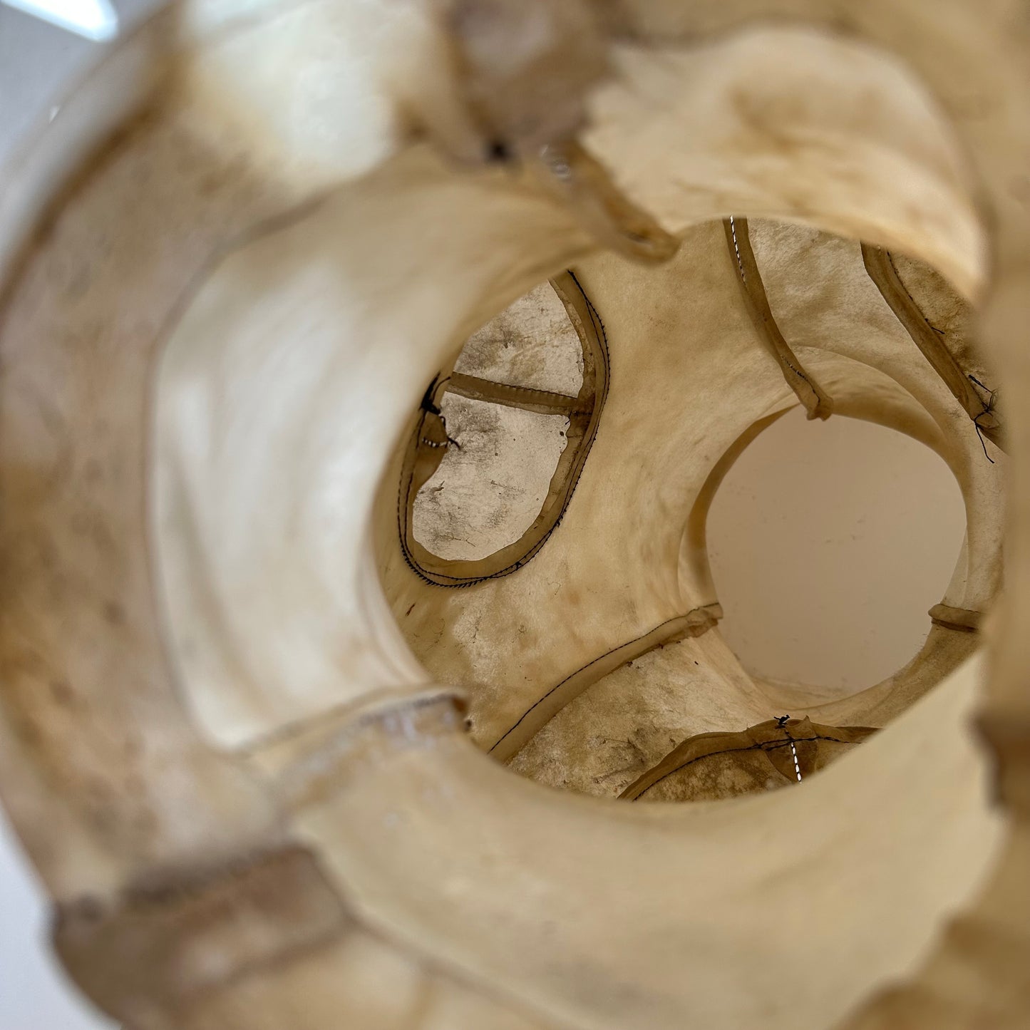 Untitled, Epoch Trophies