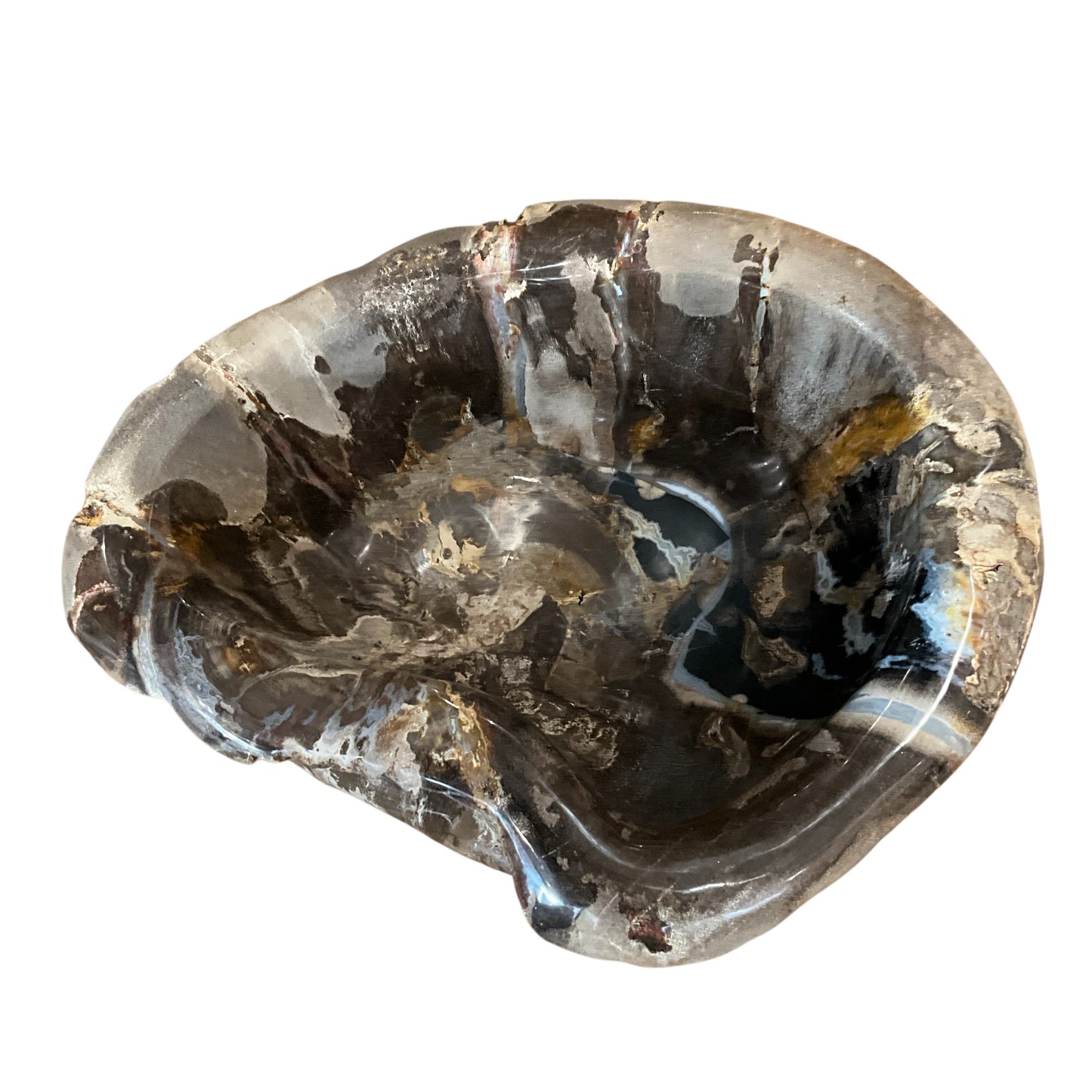 Petrified Wood Abstract Multi-Tone Bowl