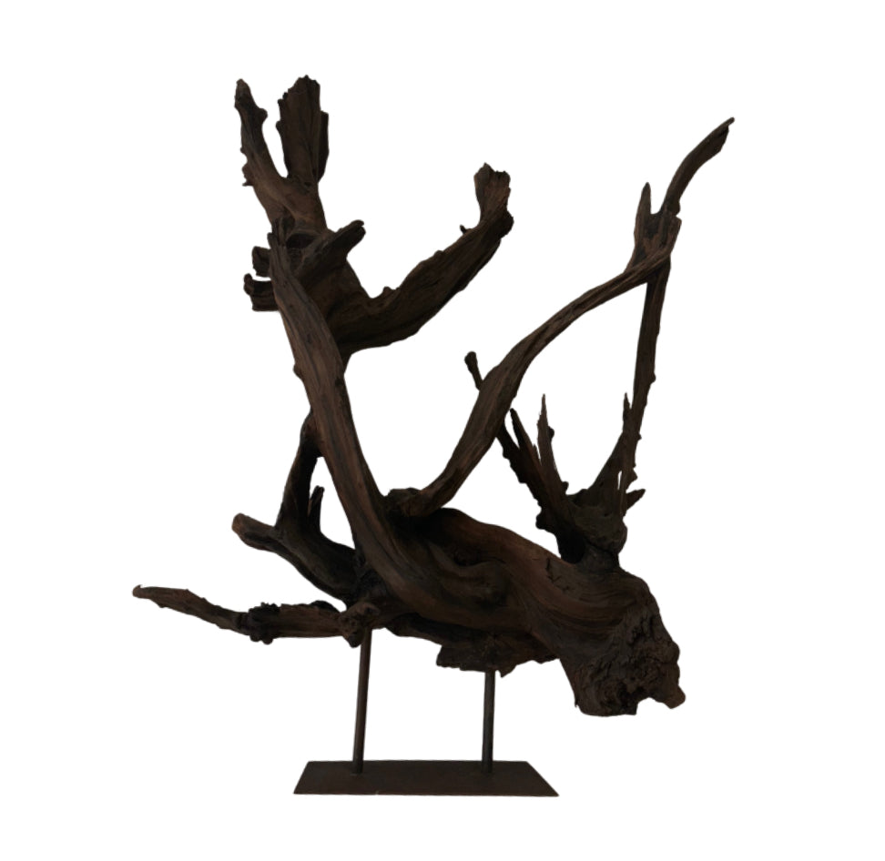 Kazu Root Sculpture on Metal Stand