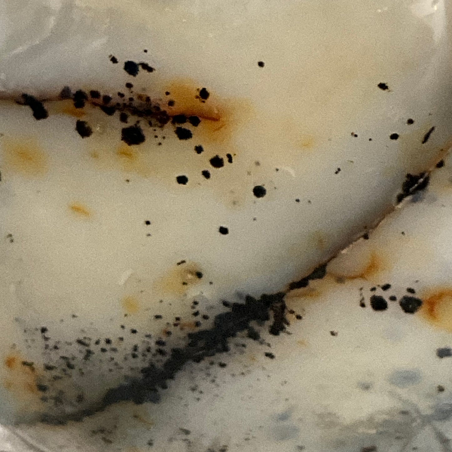 6.2 LBS Free-Standing Chalcedony Agate