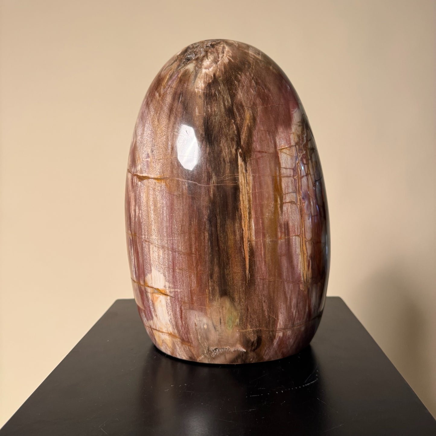Madagascar Petrified Wood #1