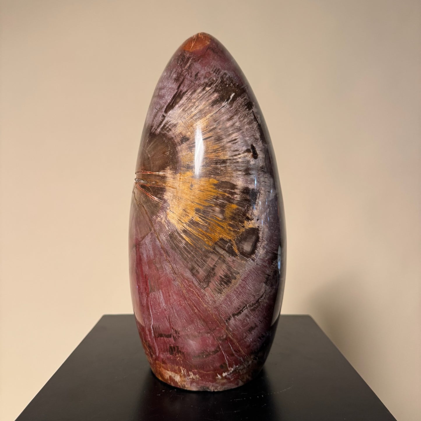 Madagascar Petrified Wood #3