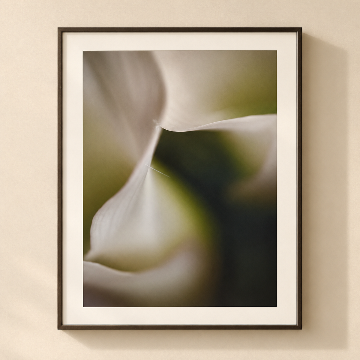 Mark Hanauer Limited Edition Botanical Floral Photograph