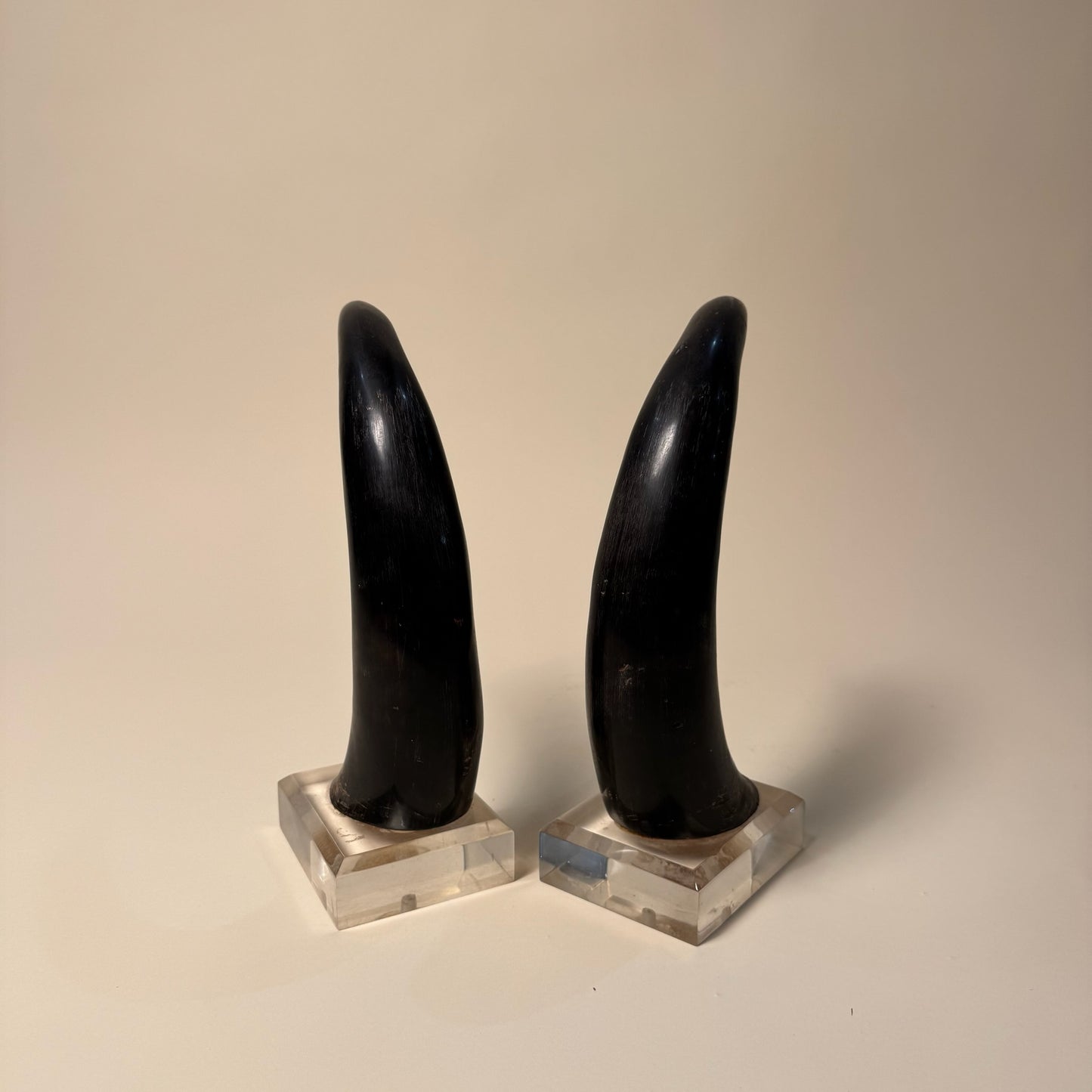 Black Horns with Lucite Holder