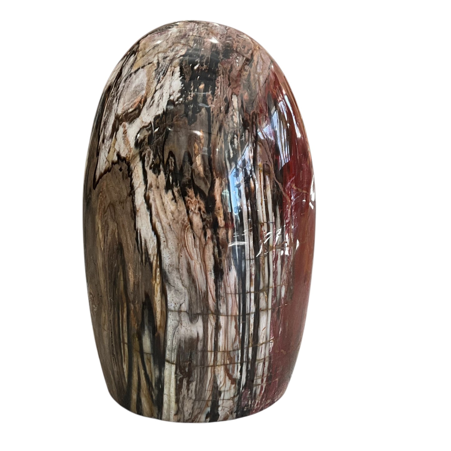 Madagascar Petrified Wood #2