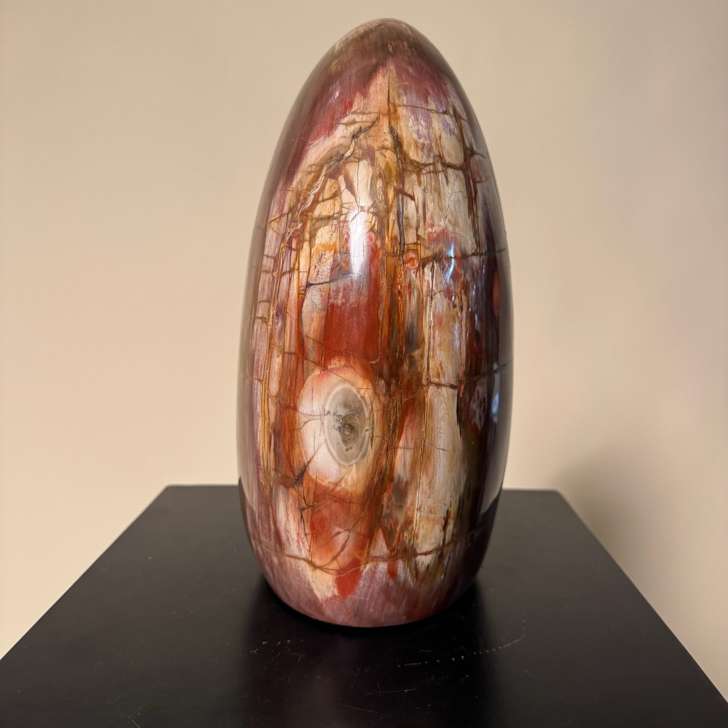 Madagascar Petrified Wood #1