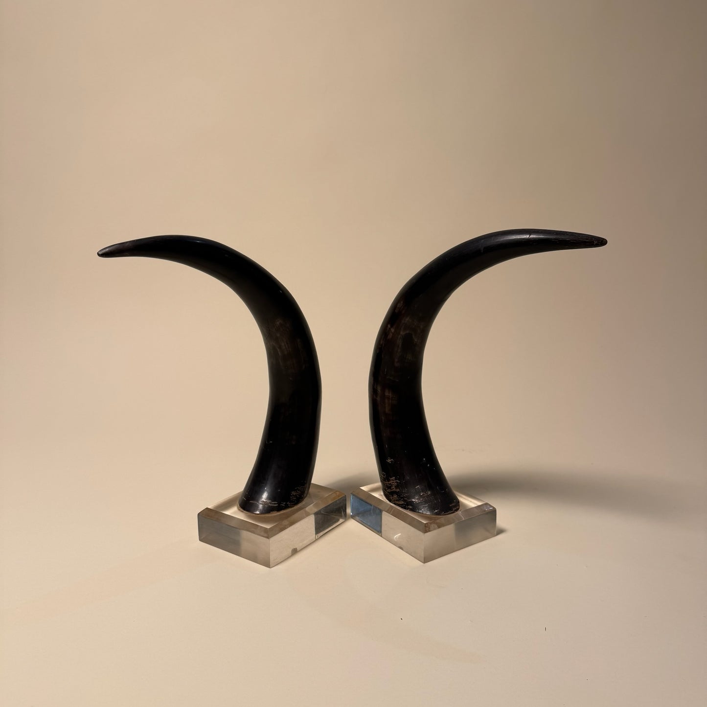 Black Horns with Lucite Holder