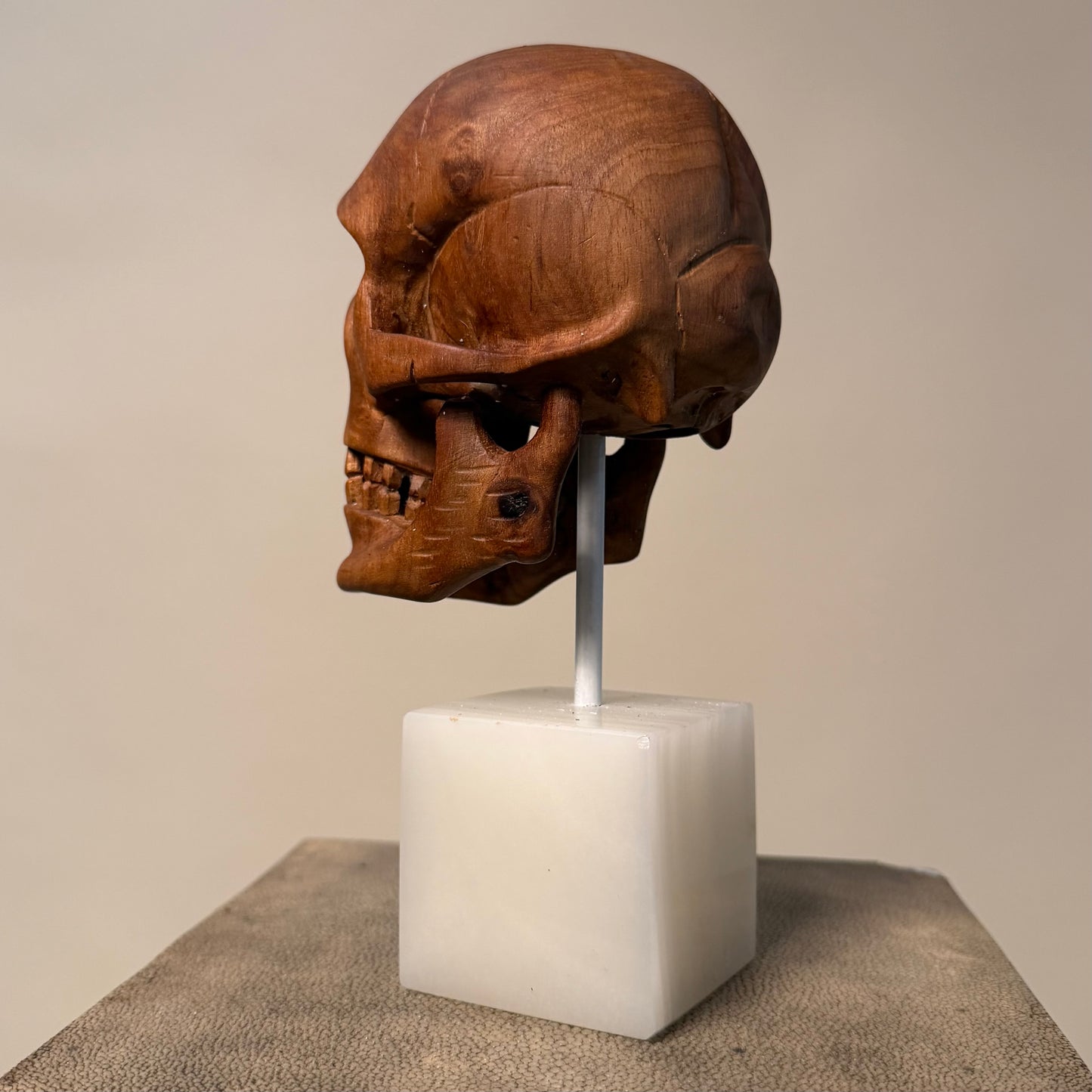 Carved Wood Momento Mori Skull on Onyx Base