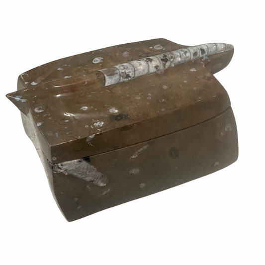 Orthoceras Fossil Keepsake Box with Lid