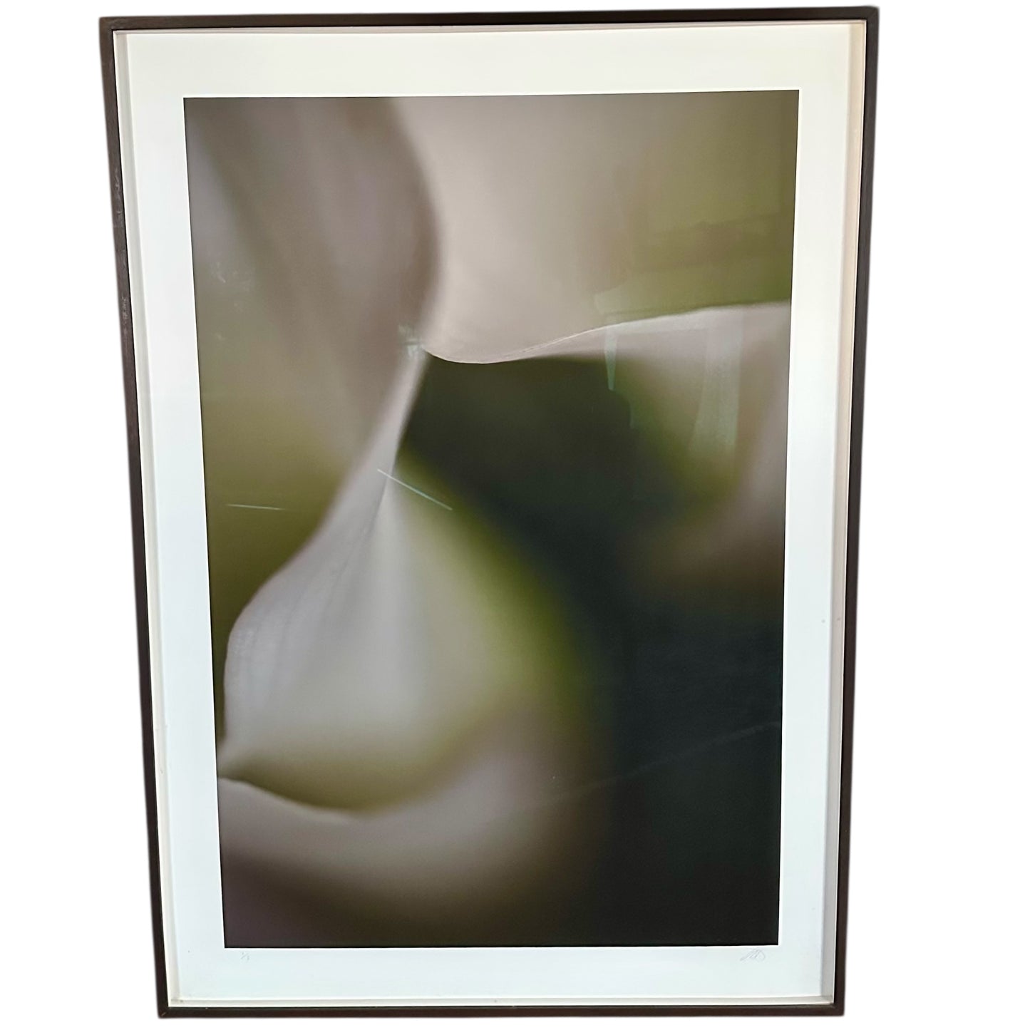 Mark Hanauer Limited Edition Botanical Floral Photograph