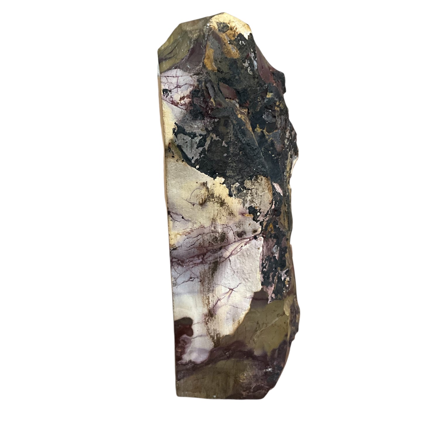 Mookiate Slab Kennedy Range Western Australia