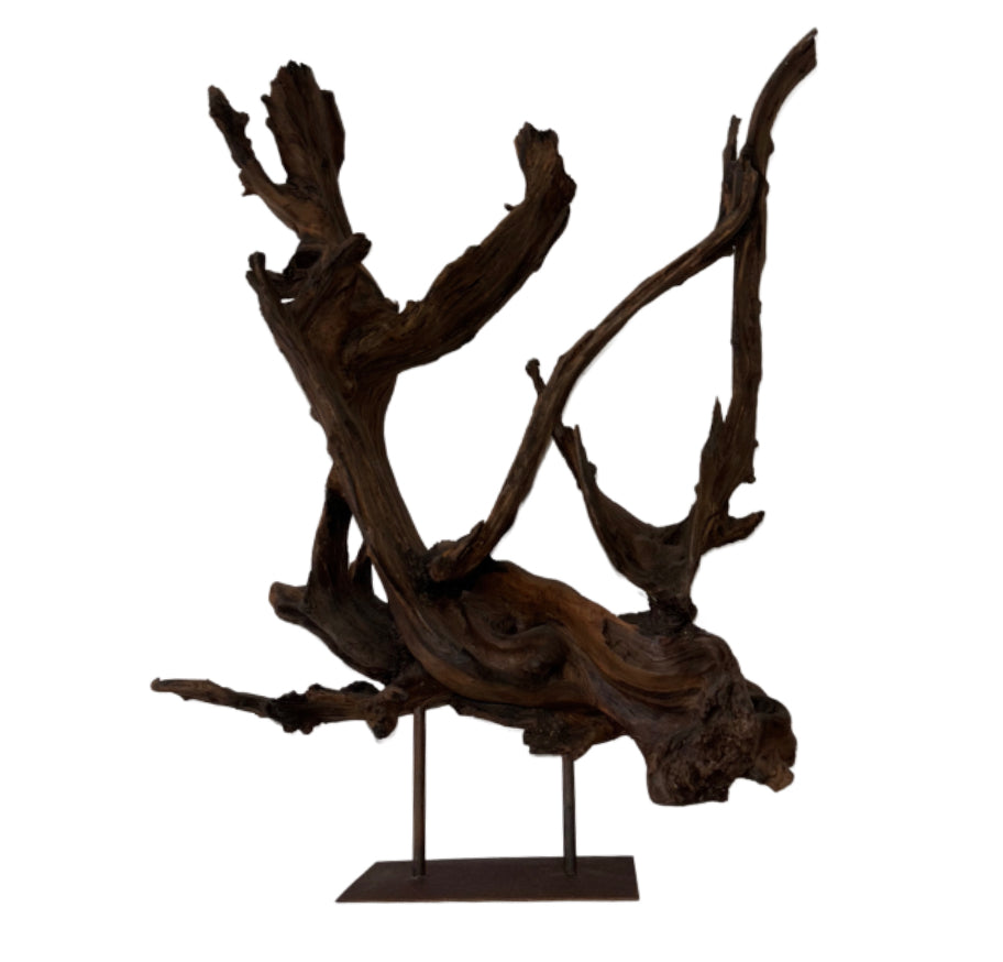 Kazu Root Sculpture on Metal Stand