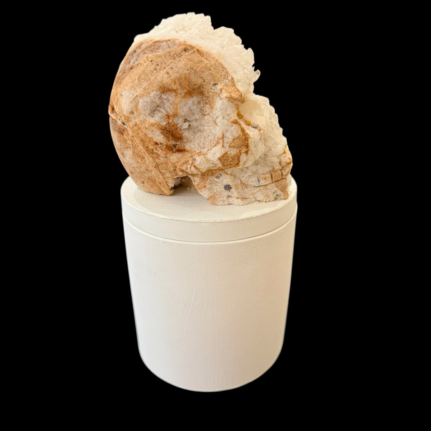 Quartz Crystal Skull Gardenia Candle #6