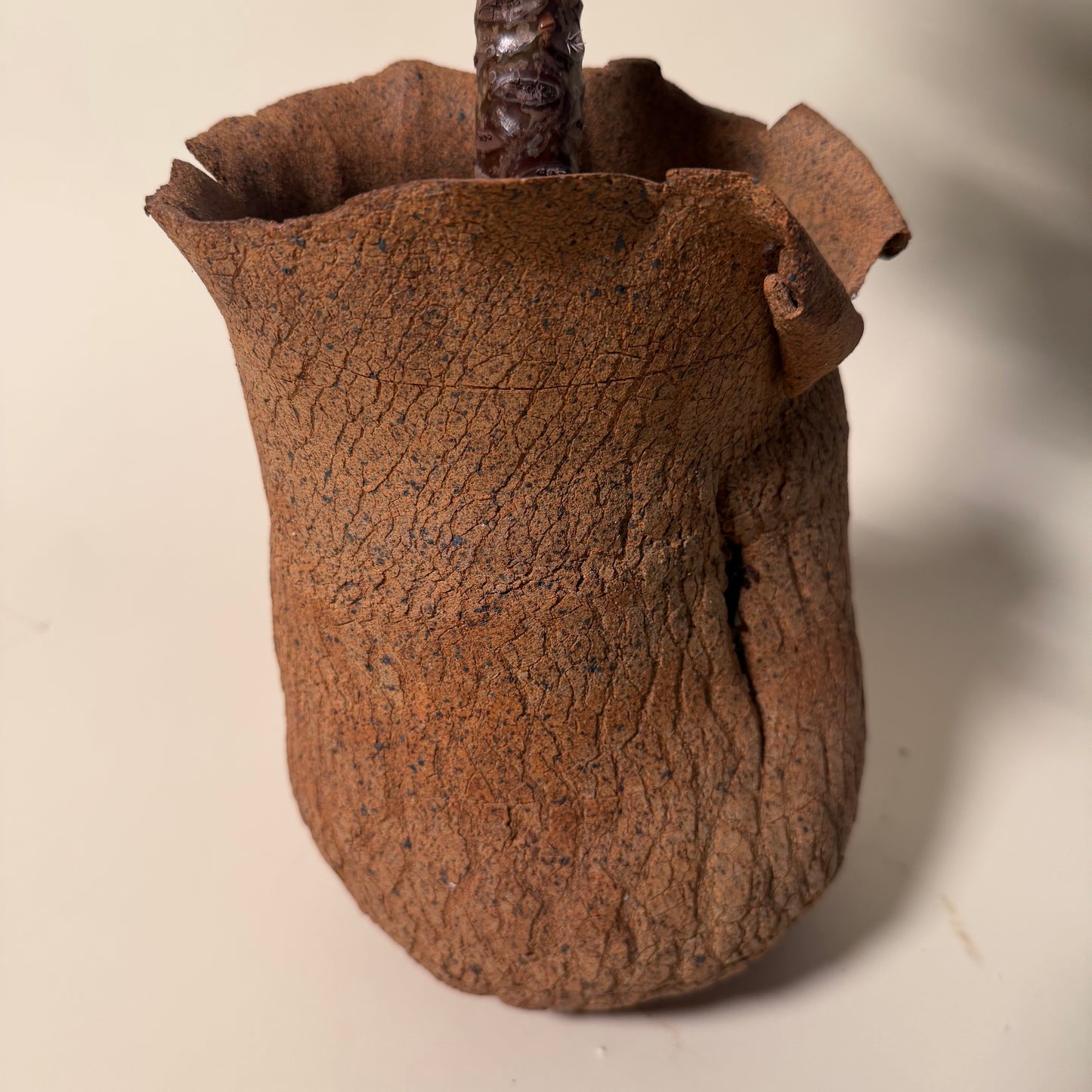Echeveria Etna Cactus in Hand Crafted Ceramic Vessel