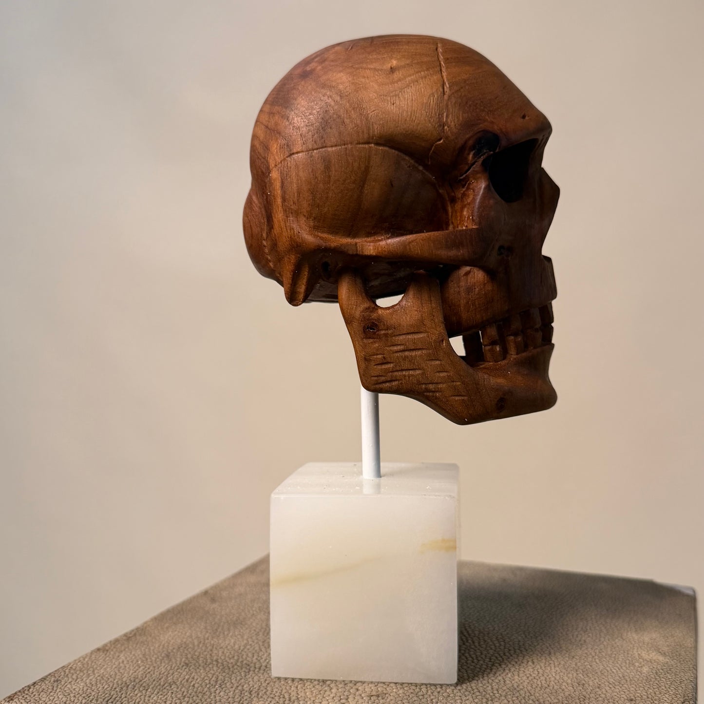 Carved Wood Momento Mori Skull on Onyx Base