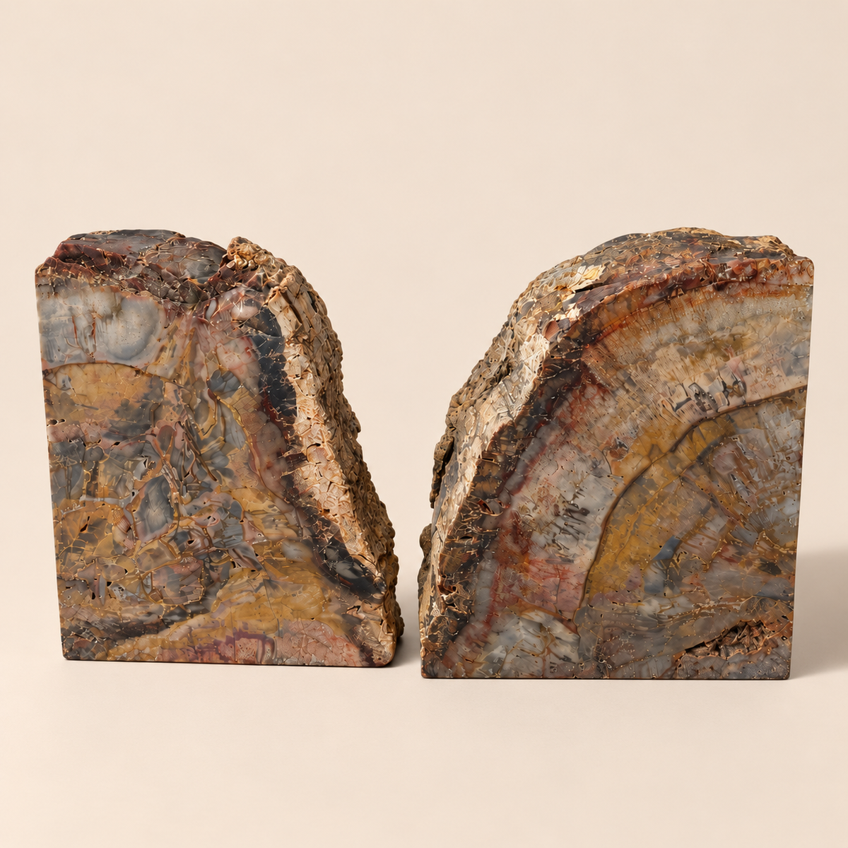 Hand Polished Petrified Wood Book Ends
