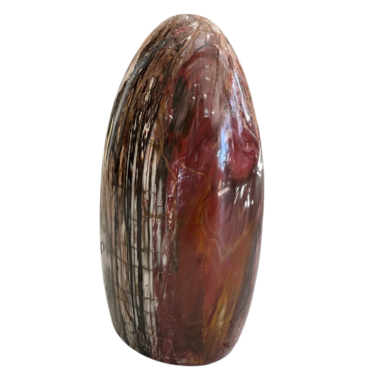 Madagascar Petrified Wood #2