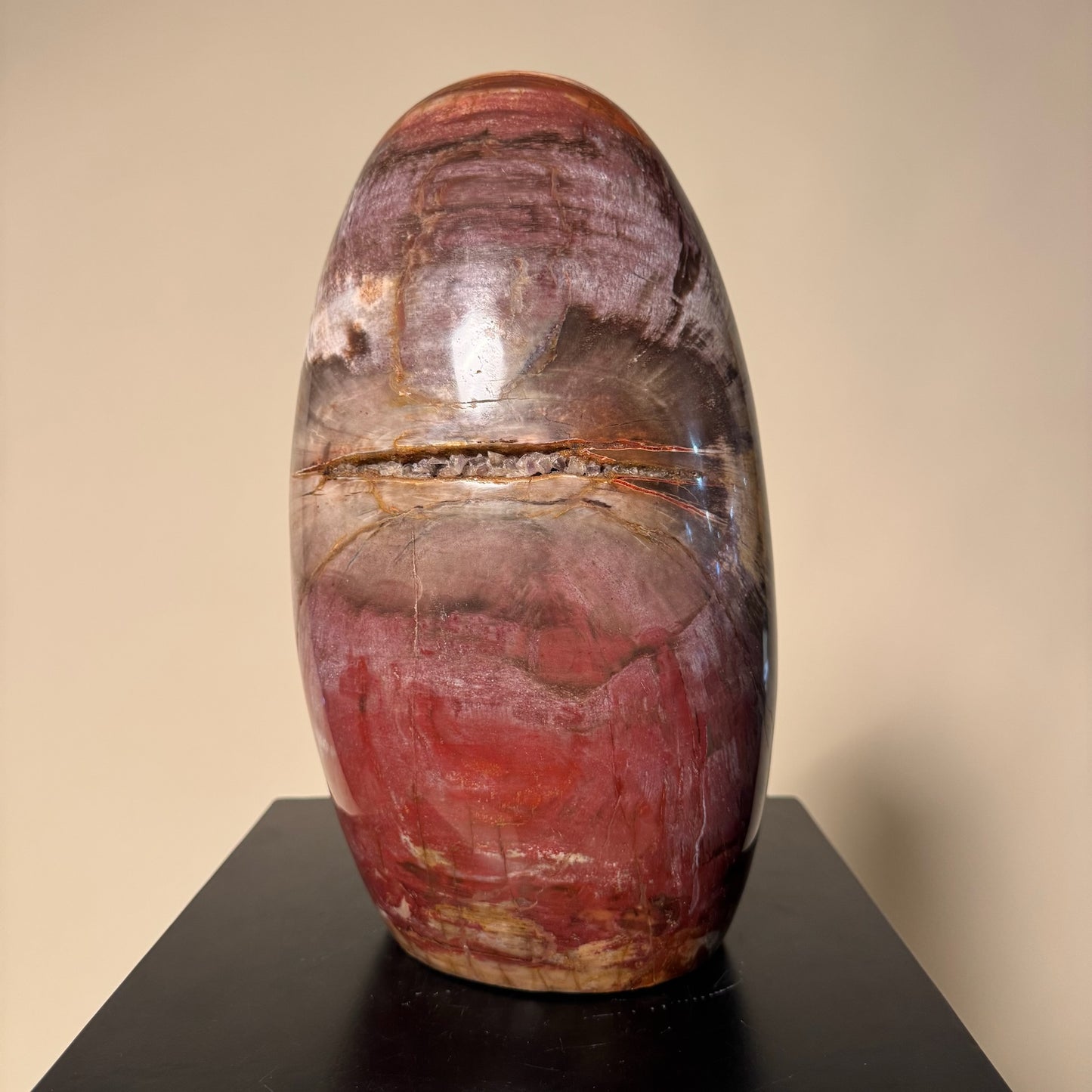 Madagascar Petrified Wood #3