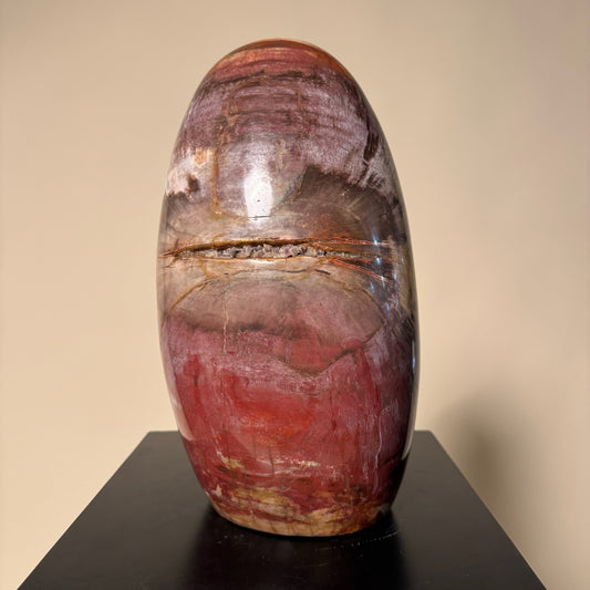 Madagascar Petrified Wood #3