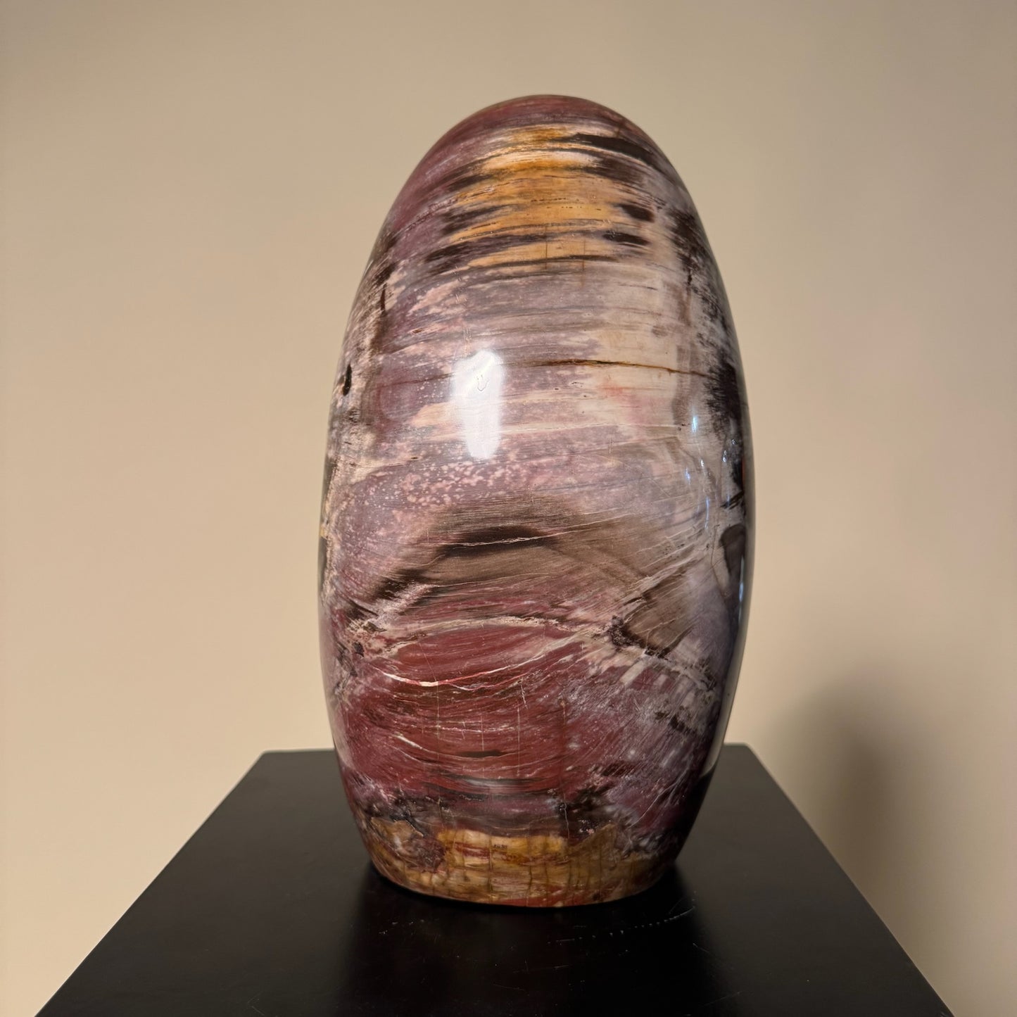Madagascar Petrified Wood #3