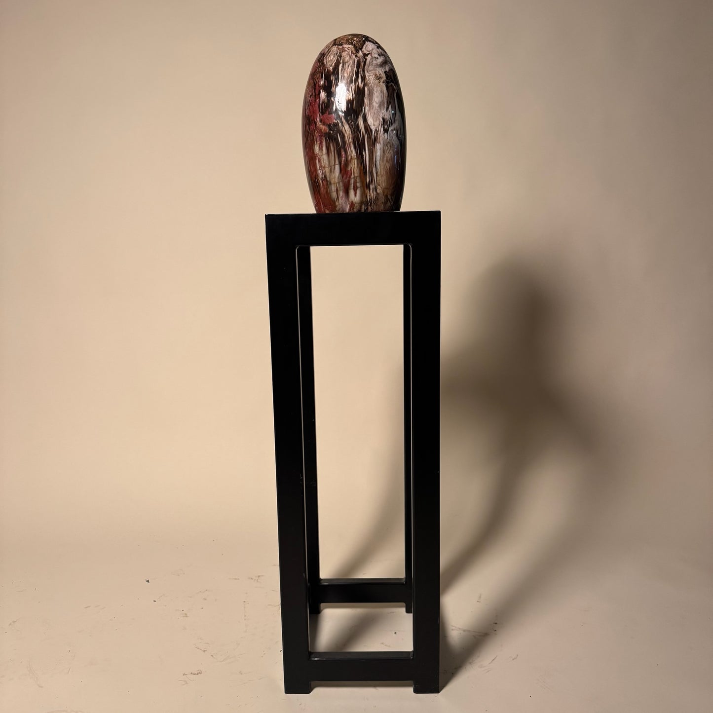 Madagascar Petrified Wood #2