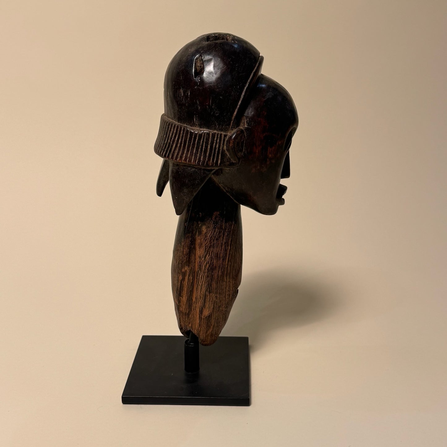 Fang Reliquary Male Head