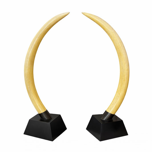 1970 sculptural pair on black pedestals