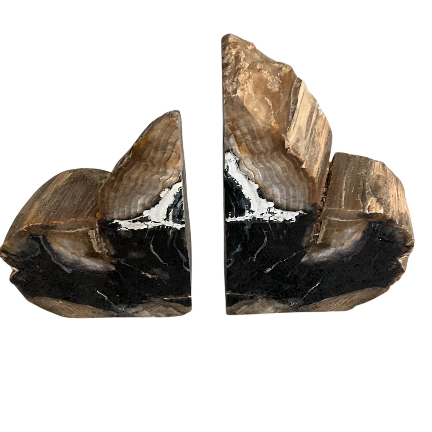 Petrified Wood Asymmetrical BookEnds